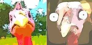 Turkey & Tofurkey, Freedom Fighters for Thanksgiving