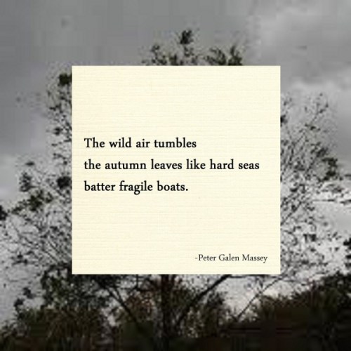 haiku poem about fall 5-7-5: the wild air tumbles the autumn leaves like hard seas batter fragile boats