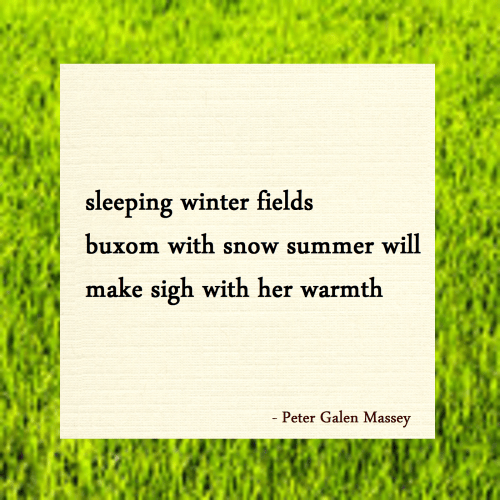 Fields Buxom With Snow Haiku Massey