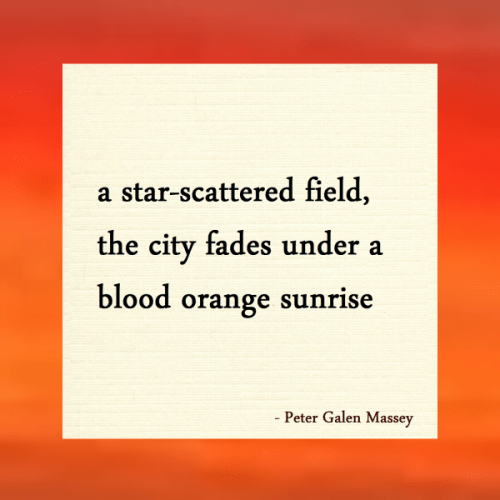 Star-Scattered Field Haiku Peter Massey