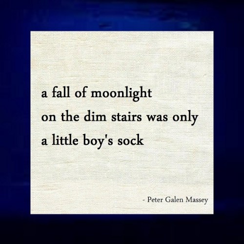 Haiku 04 Moonlight web