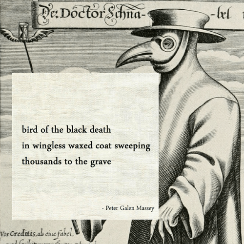 Bird of the Black Plague Haiku Peter Massey