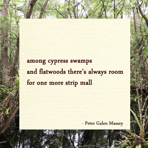 Haiku Peter Massey Room For One More Strip Mall