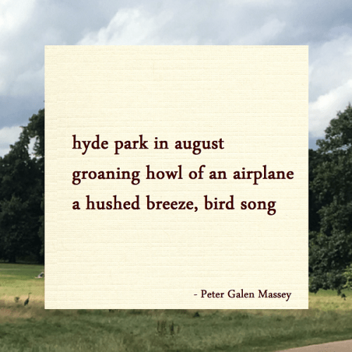 Haiku Peter Galen Massey Hyde Park in August