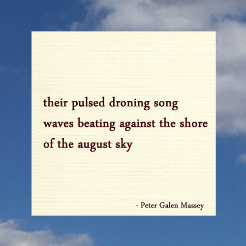 Haiku Peter Galen Massey Waves Against The August Sky