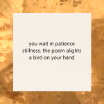 haiku poem about writing poetry 5-7-5: you wait in patience stillness. the poem alights a bird on your hand