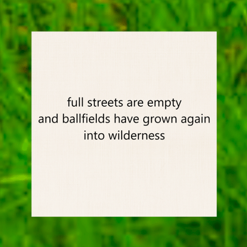 haiku poem about covid 19 5-7-5: full streets are empty and ballfields have grown again into wilderness. by Peter Galen Massey