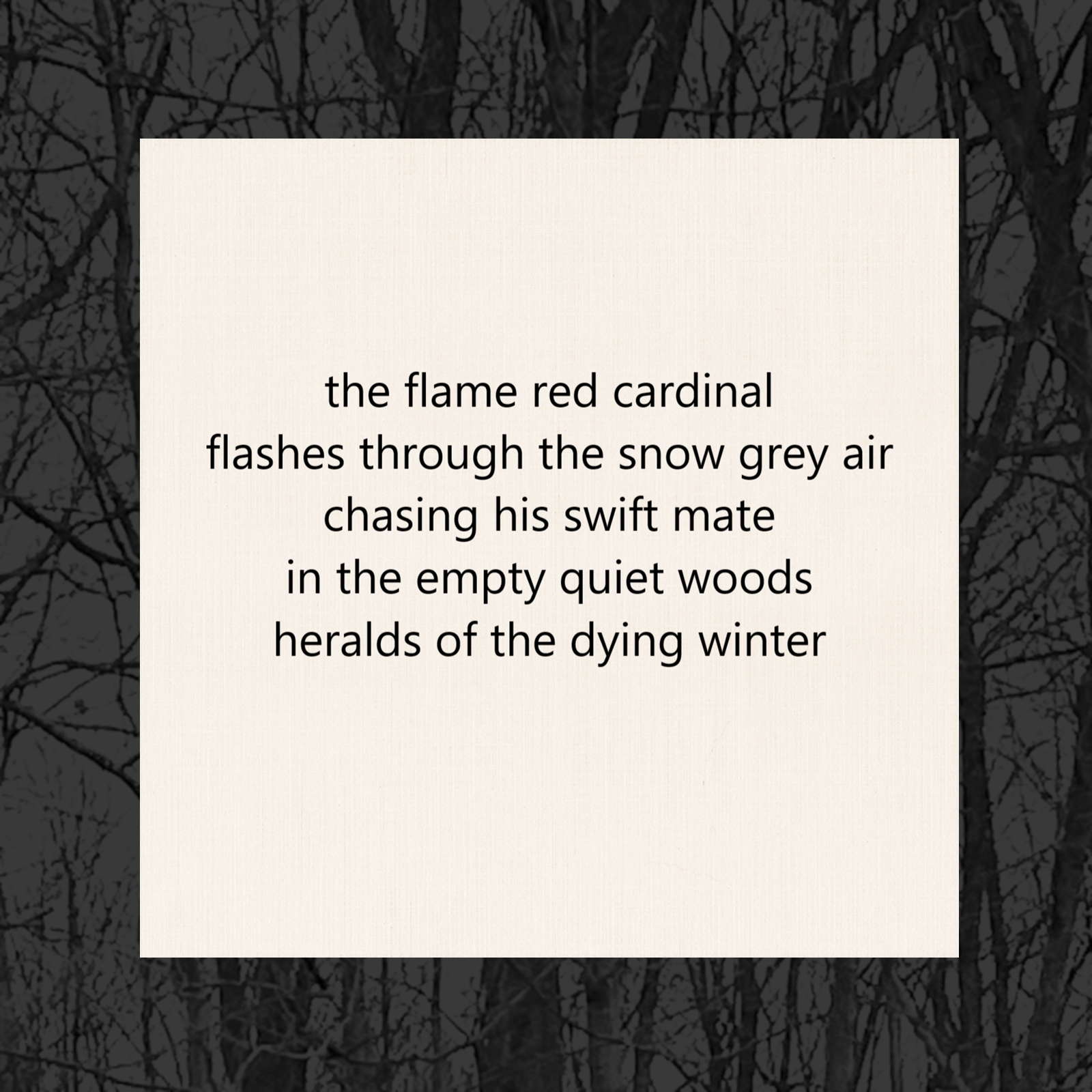tanka poem 5-7-5-7-7 late february: the flame red cardinal / flashes through the snow grey air / chasing his swift mate / in the empty quiet woods / heralds of the dying winter by peter galen massey 2026 alternative artwork